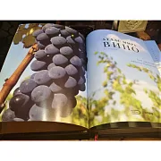 Атлас мира вино в футляре — книга для мужчины — оригинальный подарок — фотография 6